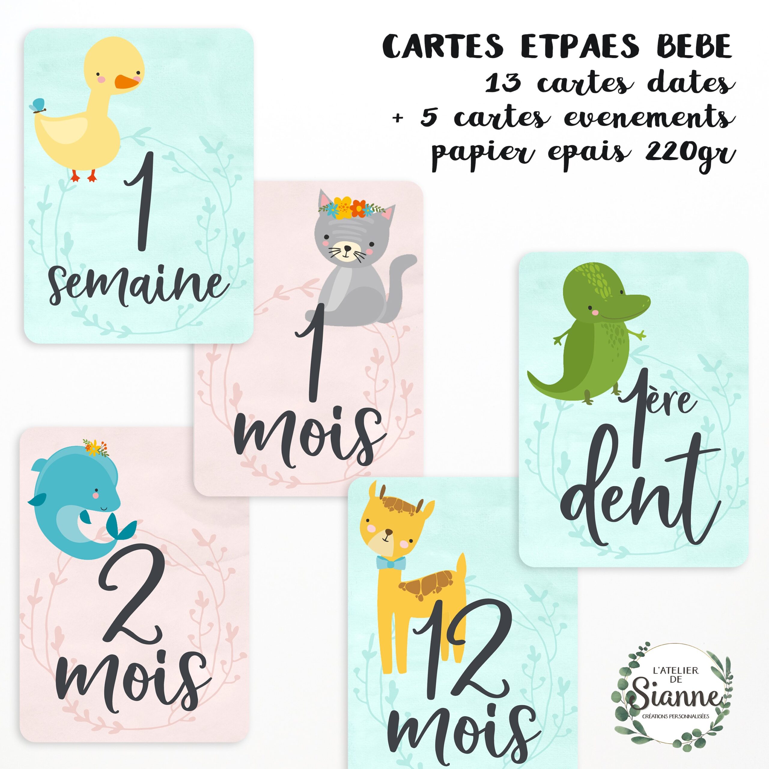 Cartes Etapes Pour Photos Souvenirs Edition Animaux Mignons